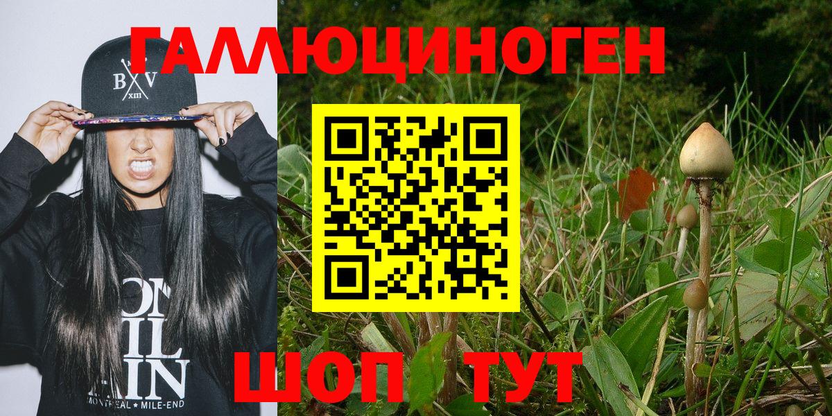 Зеленодольск  Псилоцибиновые грибы мицелий  Вход с VPN 